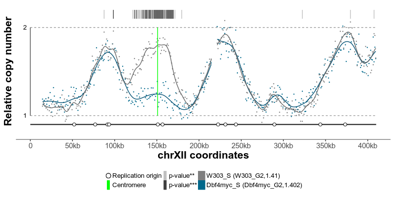 Annotated replication timing profiles