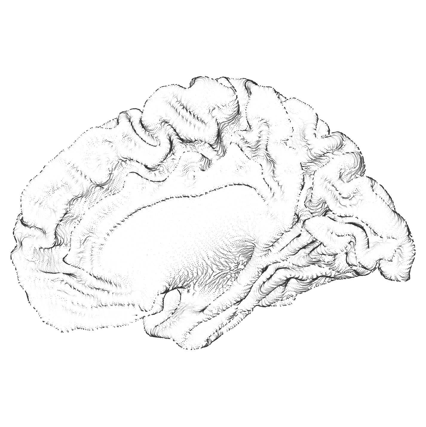 A drawing of a brain composed of individual black dots on a white background