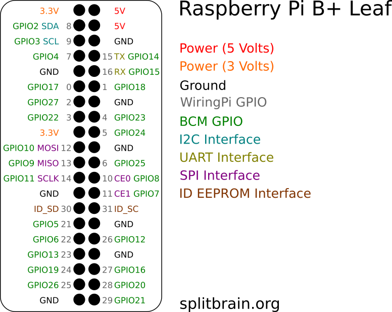 Raspberry Pi B+ Pinout Leaf